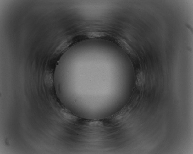 X0000095690426200801221251