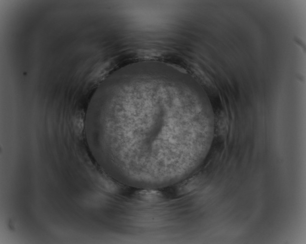 X0000095690427200801221251