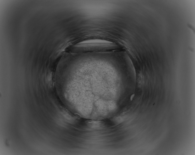 X0000095690428200801221251