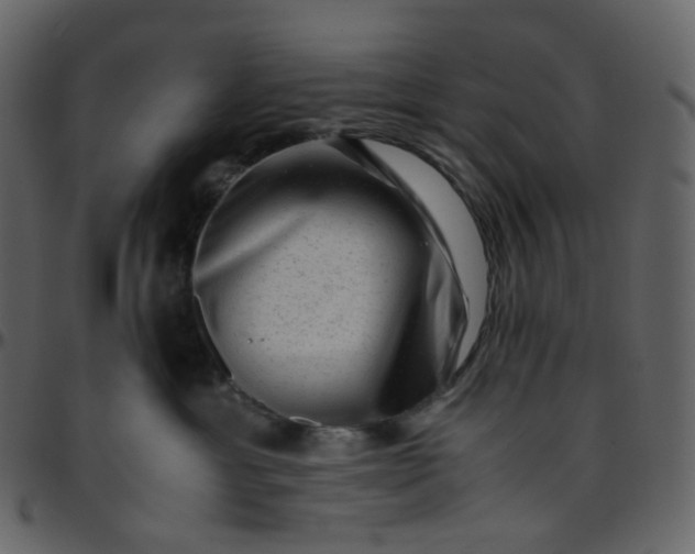 X0000095690429200801221251