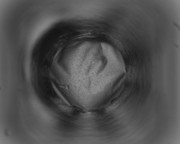 X0000095690430200801221251