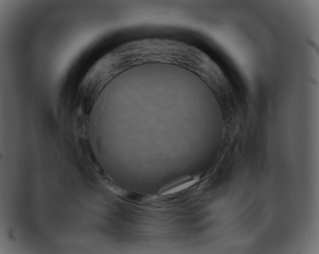 X0000095690431200801221251