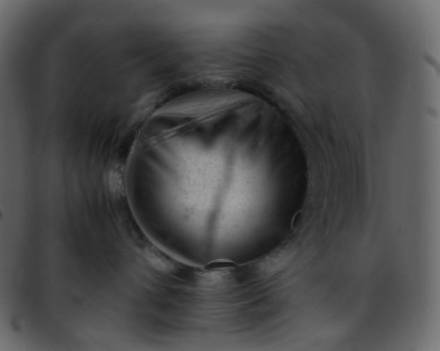 X0000095690432200801221251