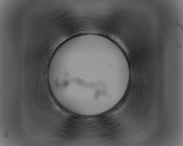 X0000095690433200801221250