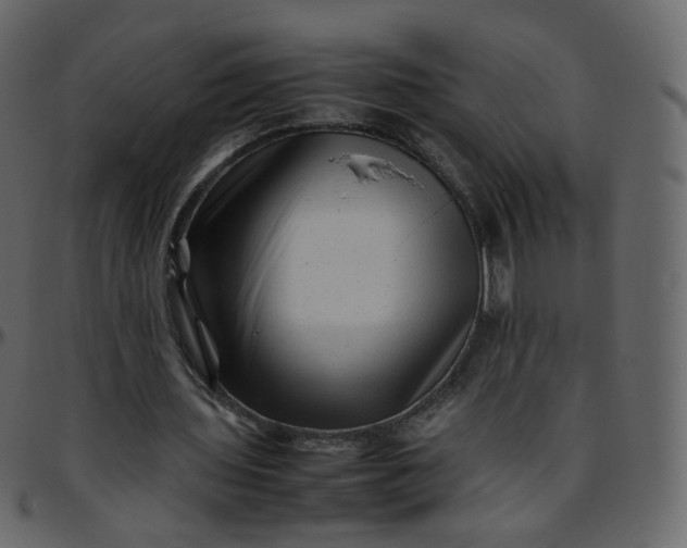 X0000095690435200801221251