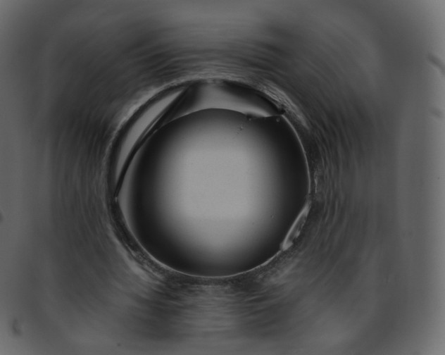 X0000095690436200801221251