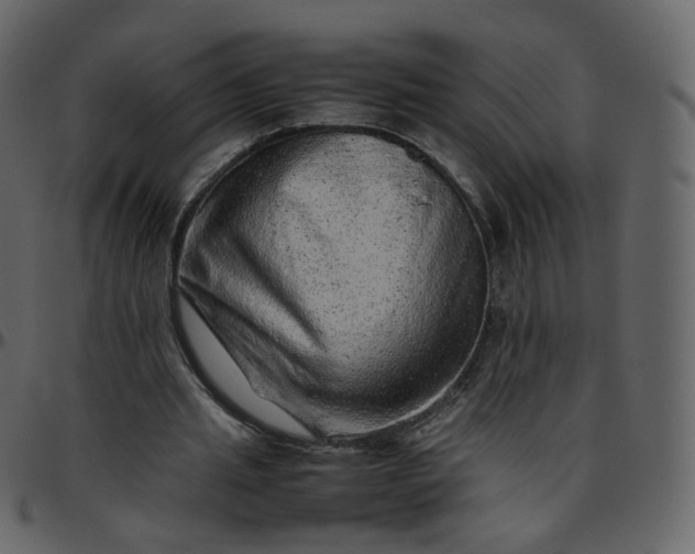 X0000095690437200801221251