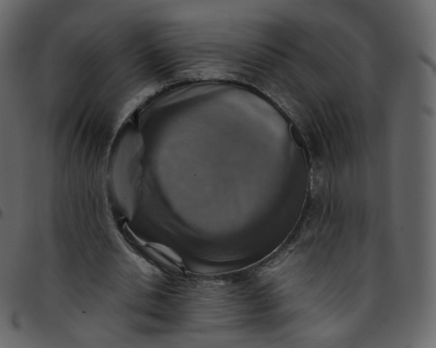 X0000095690438200801221251