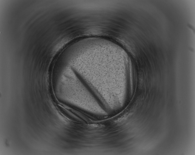 X0000095690439200801221251