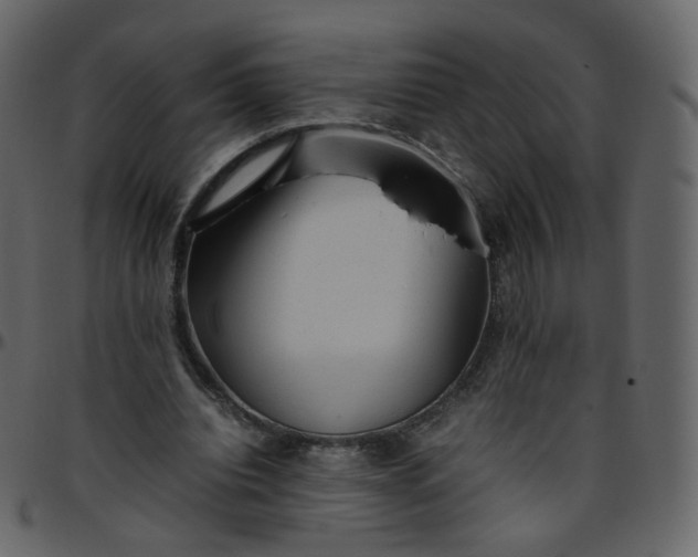 X0000095690440200801221251