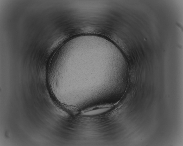 X0000095690442200801221251