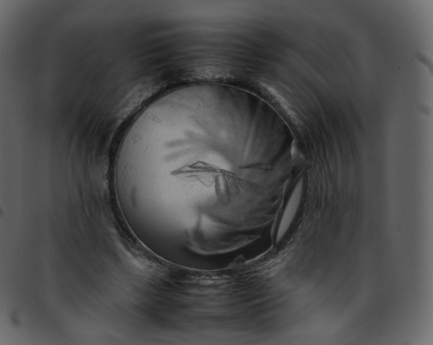 X0000095690443200801221251