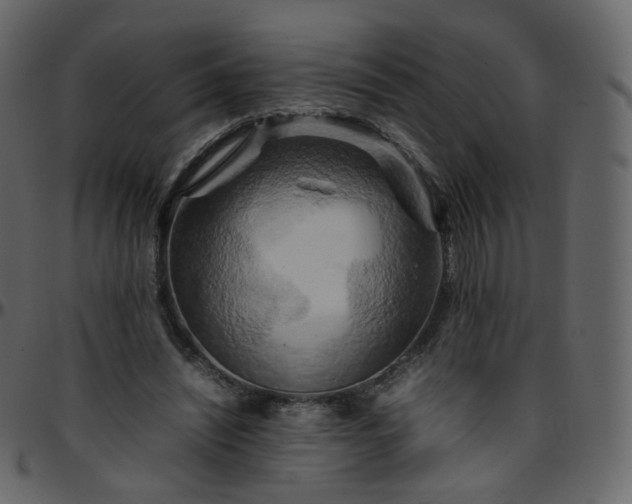 X0000095690444200801221251