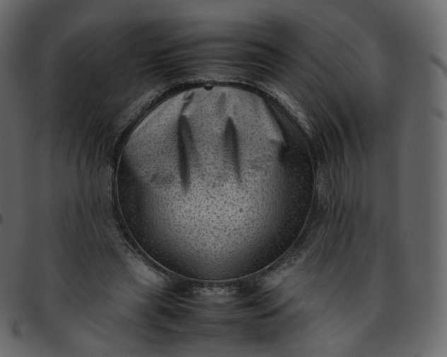 X0000095690445200801221251