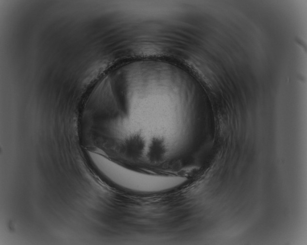 X0000095690447200801221251