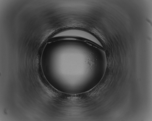 X0000095690448200801221251