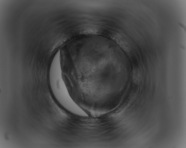 X0000095690449200801221251