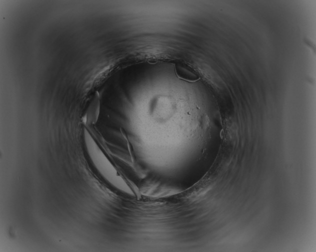 X0000095690450200801221251