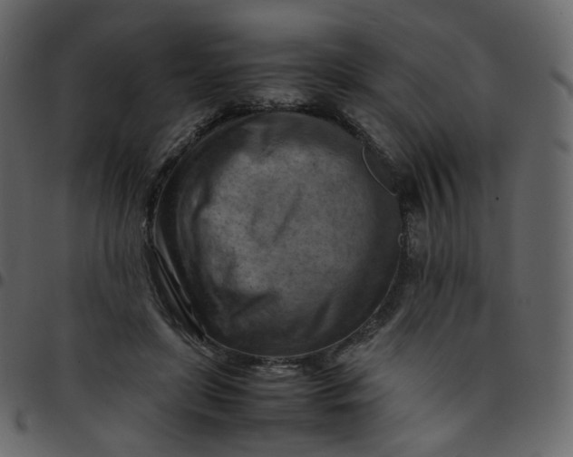 X0000095690451200801221251