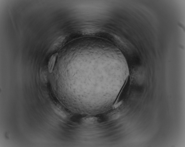 X0000095690452200801221251