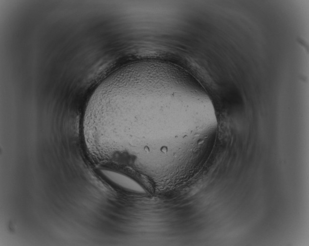 X0000095690454200801221251