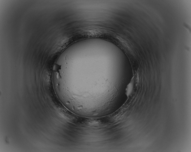 X0000095690456200801221251