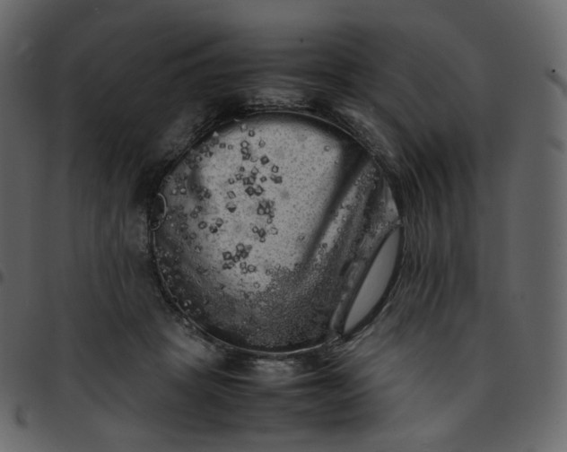 X0000095690457200801221251