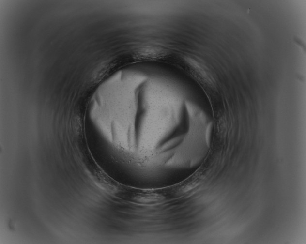 X0000095690459200801221251