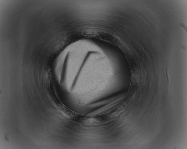 X0000095690460200801221251