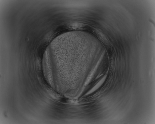 X0000095690461200801221251