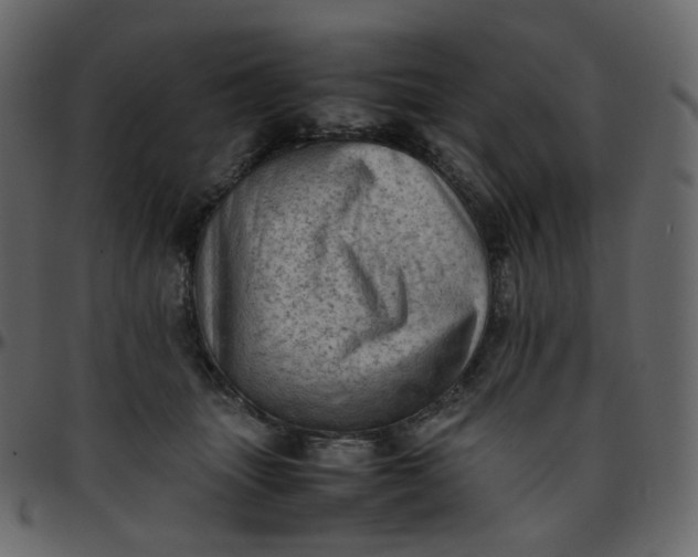 X0000095690463200801221251