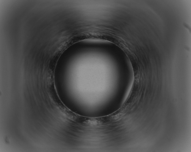 X0000095690464200801221251