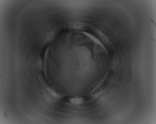 X0000095690465200801221251