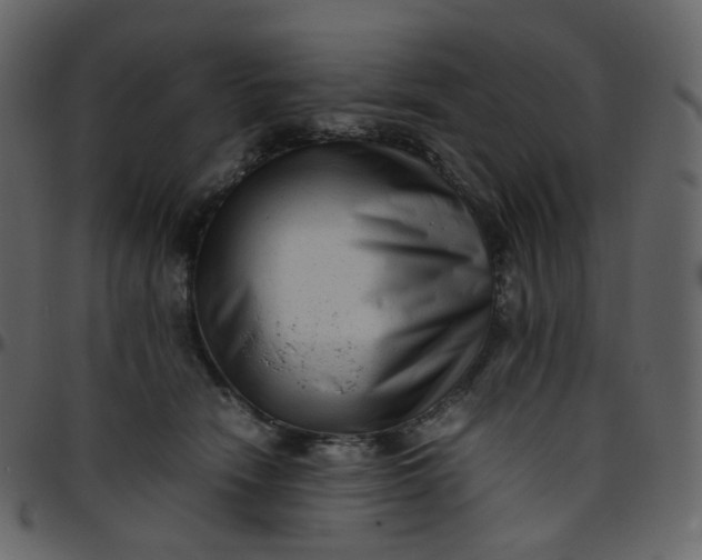 X0000095690466200801221251