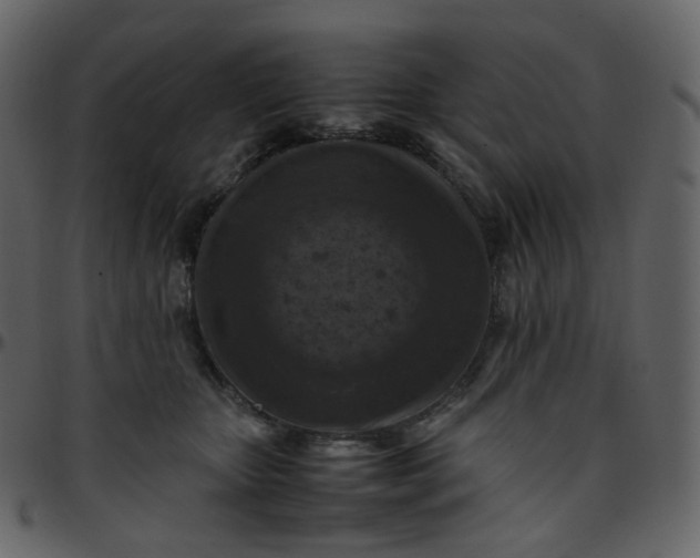 X0000095690467200801221251