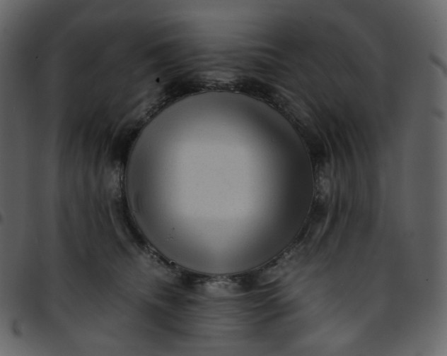 X0000095690468200801221251