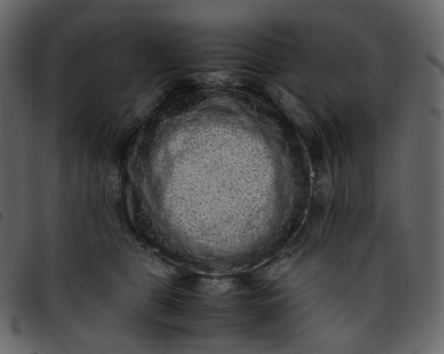 X0000095690469200801221251