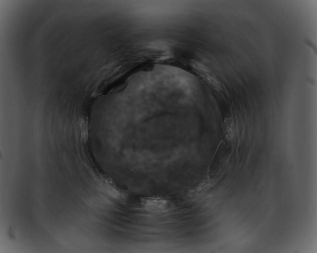 X0000095690471200801221251