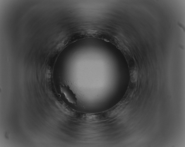 X0000095690472200801221251