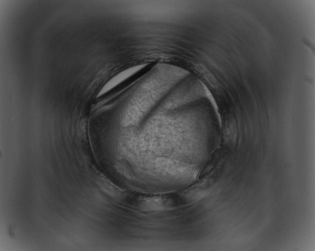 X0000095690473200801221251