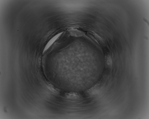 X0000095690475200801221251