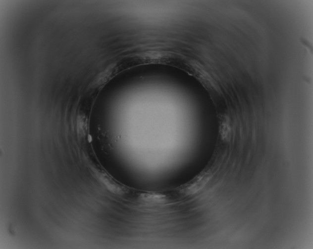 X0000095690476200801221251