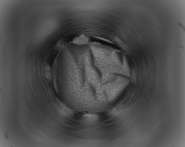 X0000095690477200801221251