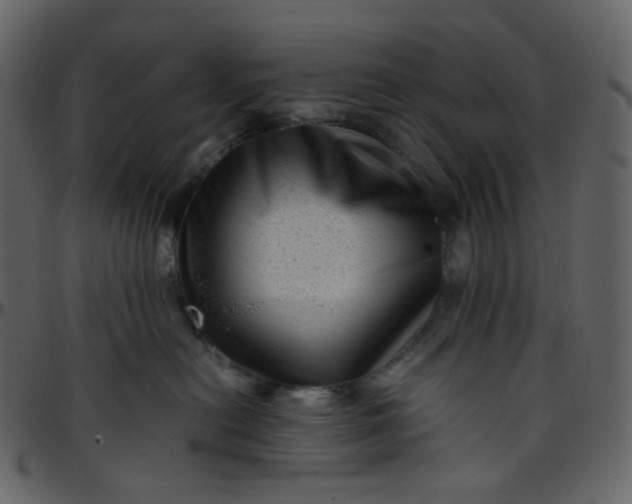 X0000095690478200801221251