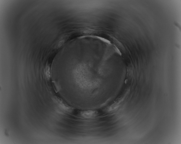 X0000095690479200801221251