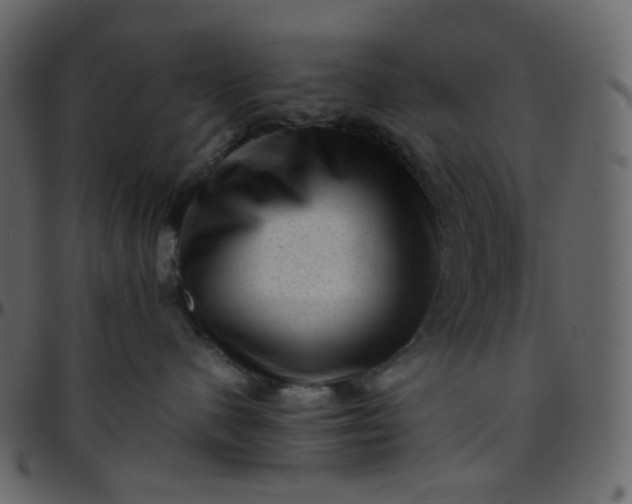 X0000095690480200801221251