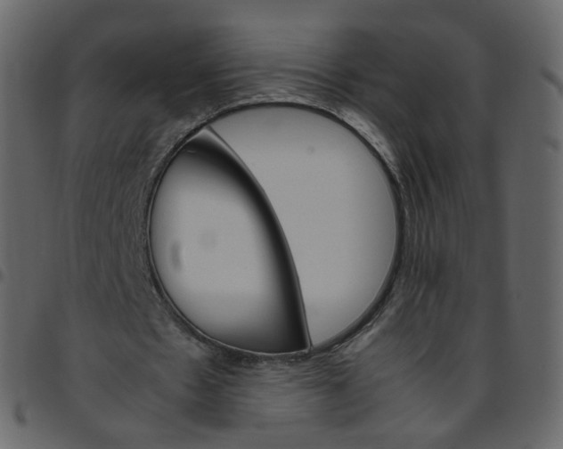 X0000095690481200801221250