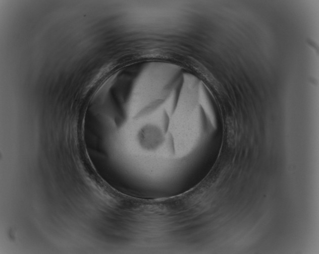 X0000095690482200801221250