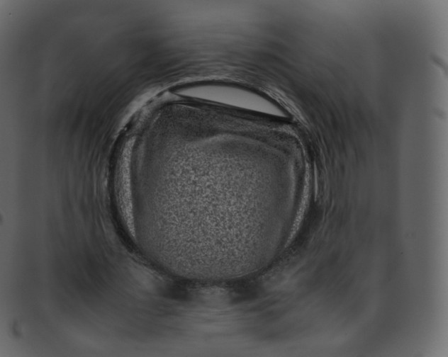 X0000095690483200801221250