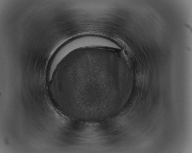 X0000095690484200801221250